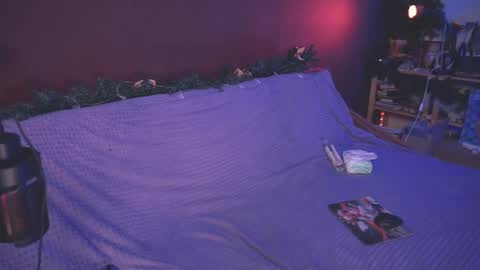 Arina online show from 12.27.24