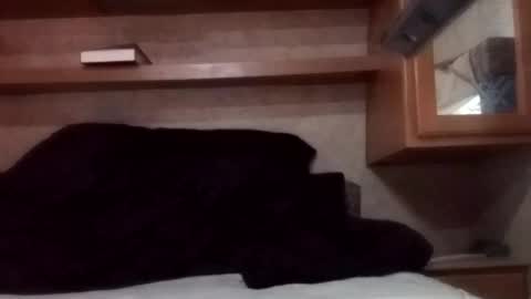 Snapshot of juish5521 chatting on 03.03.25 Juish5521 online show from 03.03.25