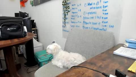 Jules online show from 03.20.26