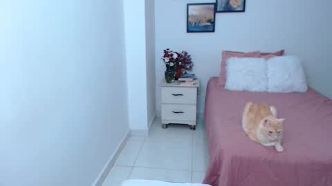 julia online show from 04.06.26