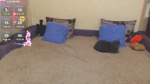 Jul online show from 02.05.26