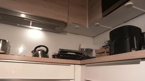 Gregor online show from 12.28.24