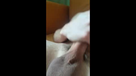 Snapshot of jungle121729 chatting on 01.07.26 jungle121729 online show from 01.07.26