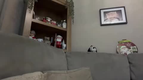 Junky online show from 12.13.24