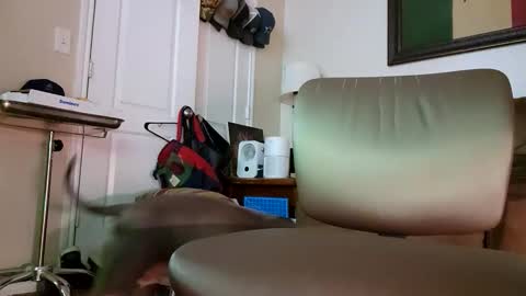 Snapshot of just4fun1523 chatting on 01.09.26 just4fun1523 online show from 01.09.26