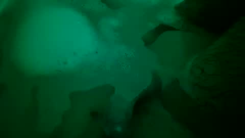 Snapshot of just4funfunfun87 chatting on 12.22.24 Yuri online show from 12.22.24