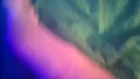 Snapshot of just4funfunfun87 chatting on 03.08.25 Yuri online show from 03.08.25