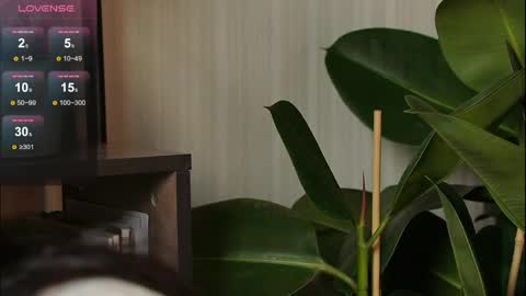 just_dakota_ online show from 03.31.26