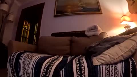 justanimals online show from 12.18.25