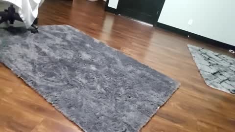 Tohiptwoquit online show from 01.15.26