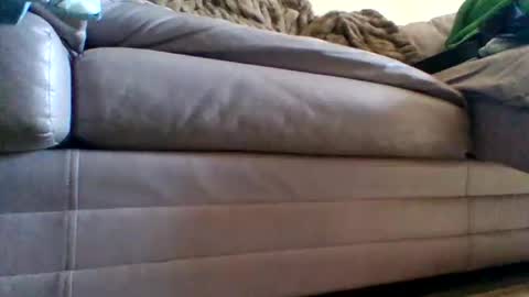 justgrosch4200 online show from 02.27.26