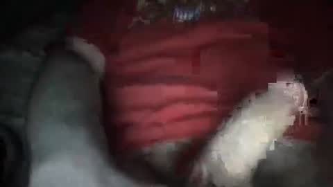 justinkinglols online show from 10.05.25