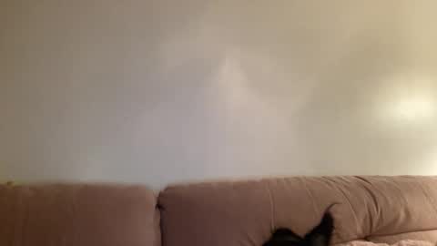 Jess online show from 03.02.26