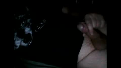 Snapshot of justpervfun chatting on 12.08.24 justpervfun online show from 12.08.24