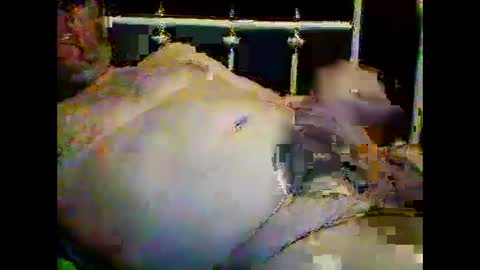 Snapshot of justpervfun chatting on 01.15.25 justpervfun online show from 01.15.25