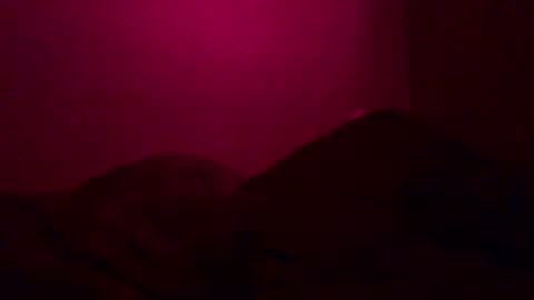 Snapshot of justsomenegus chatting on 12.26.24 Call me Just online show from 12.26.24