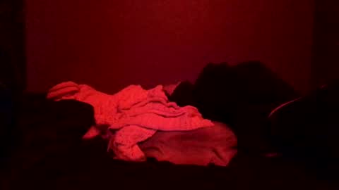 Snapshot of justsomenegus chatting on 03.08.25 Call me Just online show from 03.08.25