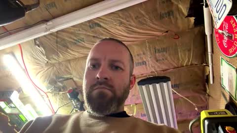 jwelly8998 online show from 05.06.26