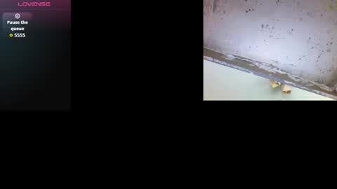 Snapshot of k36620146 chatting on 03.03.26 k36620146 online show from 03.03.26