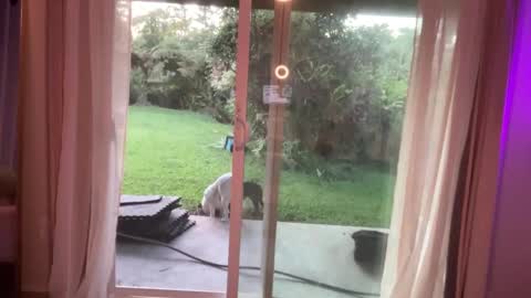 Kailee Smile online show from 01.07.25