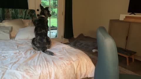 Kailee Smile online show from 02.07.26