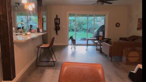 Kailee Smile online show from 03.21.26