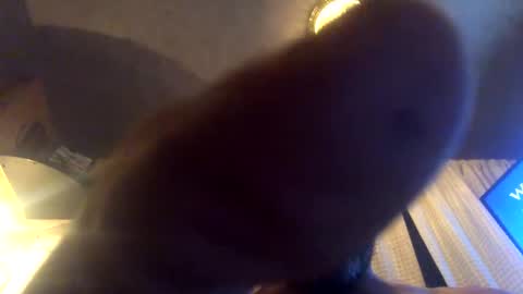 Snapshot of kaneisyours2420 chatting on 09.23.25 Tucker online show from 09.23.25