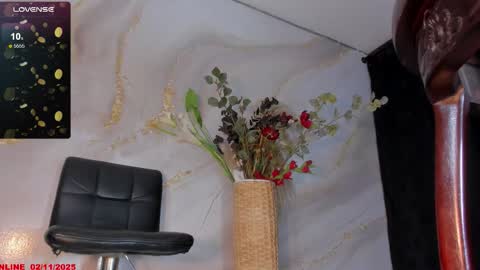 Snapshot of karlaebony_ts chatting on 11.02.25 KARLA online show from 11.02.25