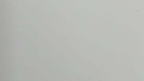 Snapshot of katy_and_paola chatting on 10.27.25 katy blonde girl and paola big boobs online show from 10.27.25