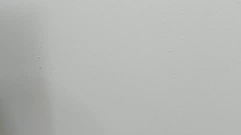 Snapshot of katy_and_paola chatting on 10.28.25 katy blonde girl and paola big boobs online show from 10.28.25