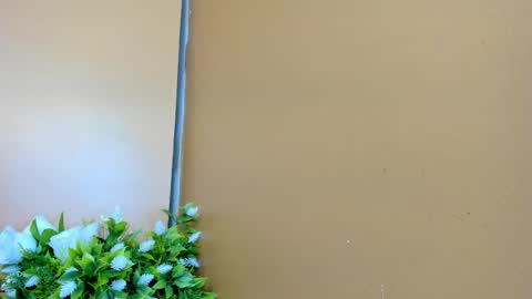 keisy_sanchez online show from 01.17.26