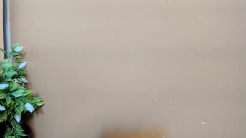 keisy_sanchez online show from 02.01.26