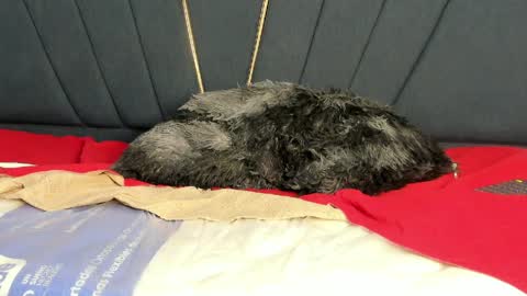 Snapshot of kendall_x0 chatting on 04.11.26 kendall_x0 online show from 04.11.26