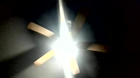 kendreko049946904 online show from 03.11.26