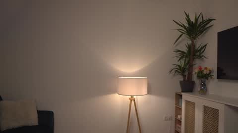 Kevin online show from 01.03.25