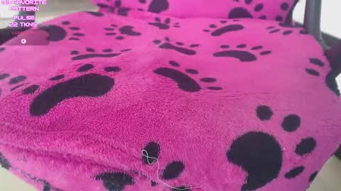 Snapshot of kevintyler69 chatting on 02.02.26 Kevin online show from 02.02.26