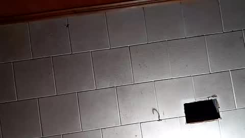 kfrost380 online show from 10.26.25