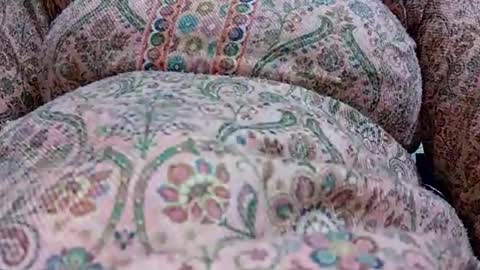 khushisinghh online show from 01.24.25