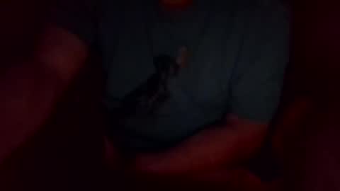 Snapshot of khw444 chatting on 09.20.25 jesse444 cum show online show from 09.20.25