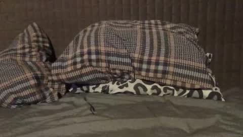 kiki3526 online show from 11.23.25