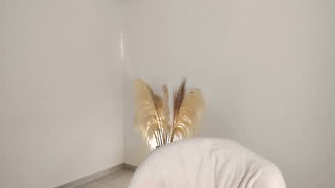 Snapshot of kim_murphy chatting on 10.24.25 Kim Murphy online show from 10.24.25