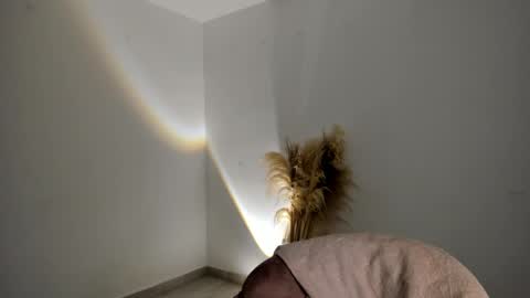 Snapshot of kim_murphy chatting on 11.18.25 Kim Murphy online show from 11.18.25