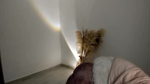 Snapshot of kim_murphy chatting on 11.20.25 Kim Murphy online show from 11.20.25