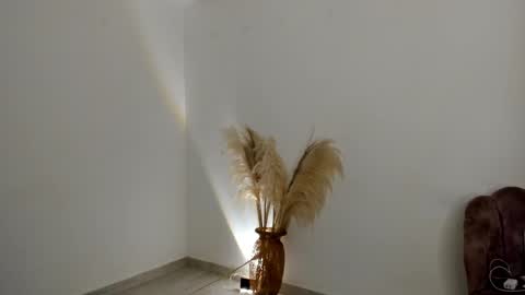 Kim Murphy online show from 03.24.26