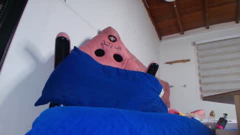 Bella online show from 01.21.25