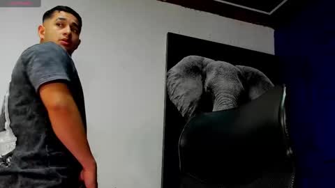 Angel Falconer online show from 11.17.25