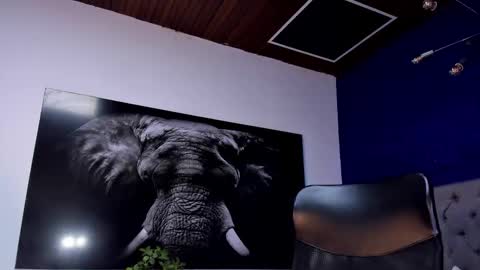 Angel Falconer online show from 01.15.26