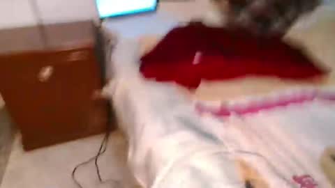 Snapshot of kingconejo chatting on 03.10.25 Conejo online show from 03.10.25