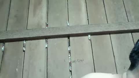 Snapshot of kingsucker2069 chatting on 01.16.26 Ruru online show from 01.16.26