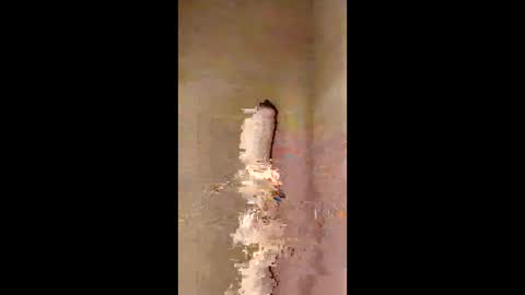 kini8278 online show from 02.21.26